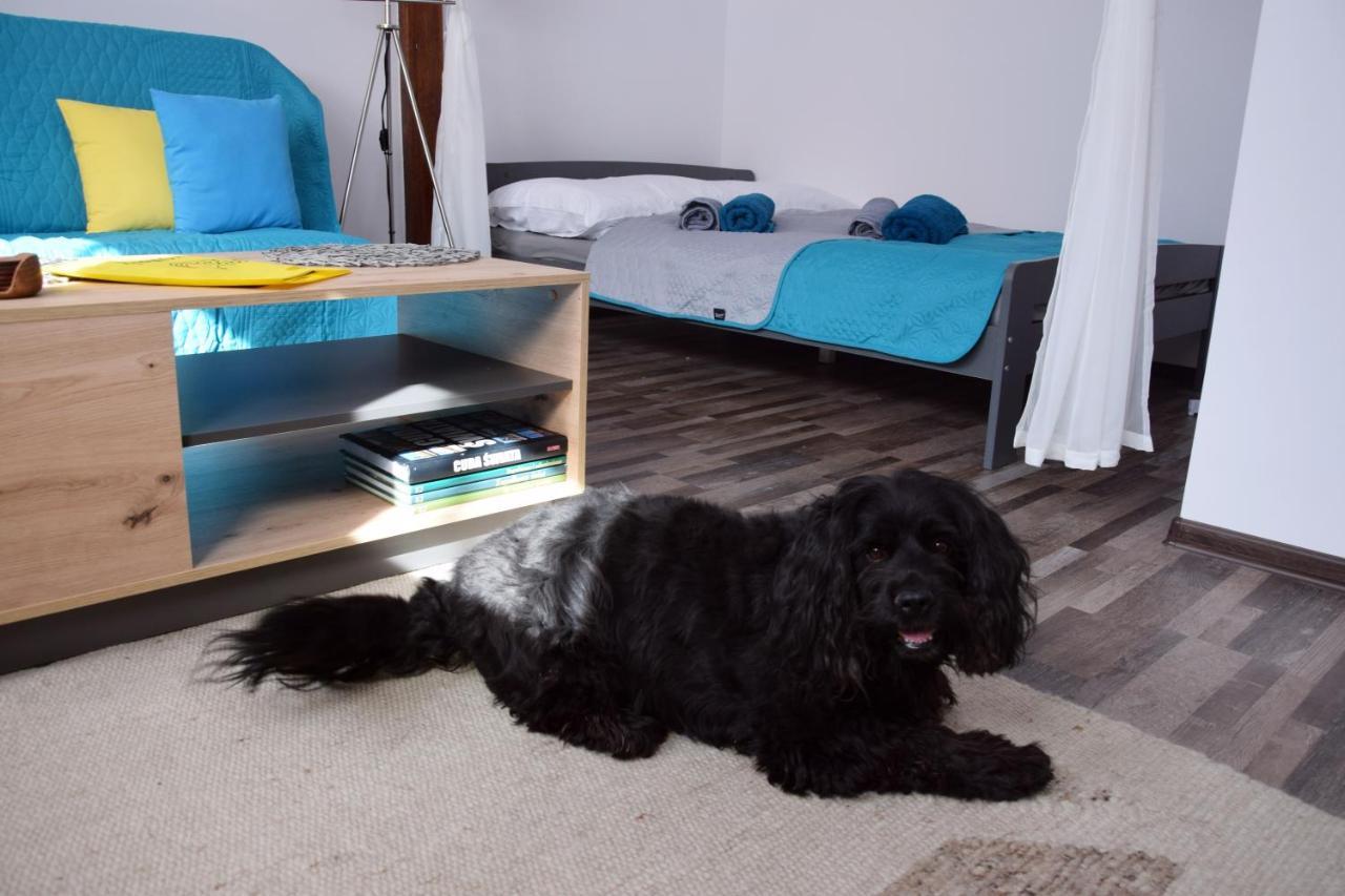 Apartament Gornicza W Kowarach Ковари Екстериор снимка